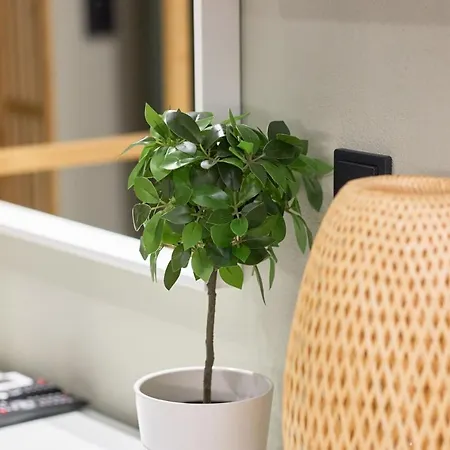 Oisymi Luxury * Néa Péramos