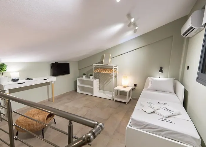 Oisymi Luxury 公寓