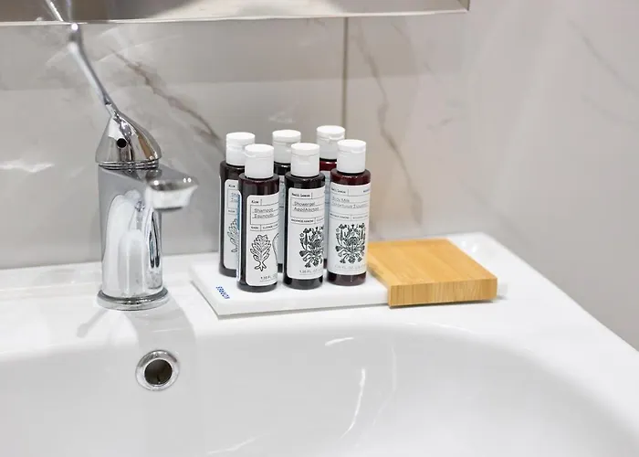 Oisymi Luxury 公寓