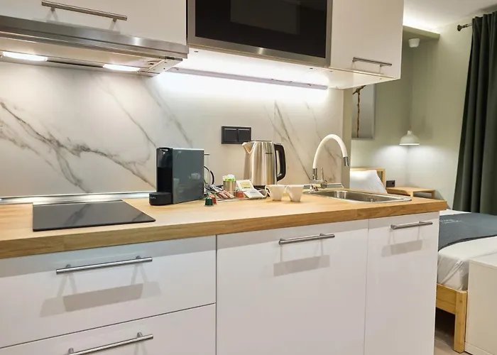 Oisymi Luxury 公寓 *