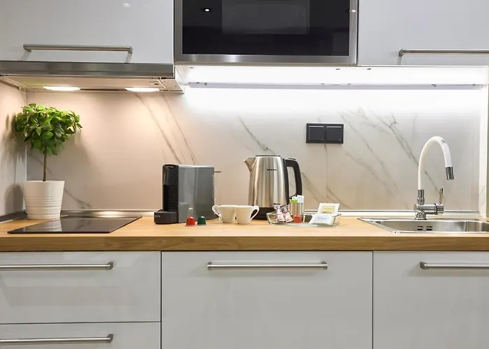 Oisymi Luxury 公寓